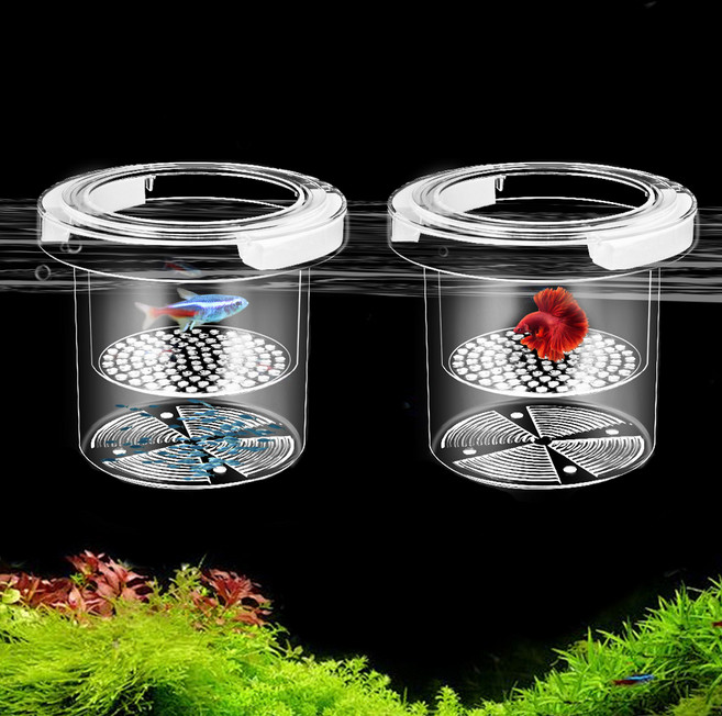 BUZOO 구피 부화통 부상식 치어통 다기능 부상식 부화통 격리 급여기, 2개