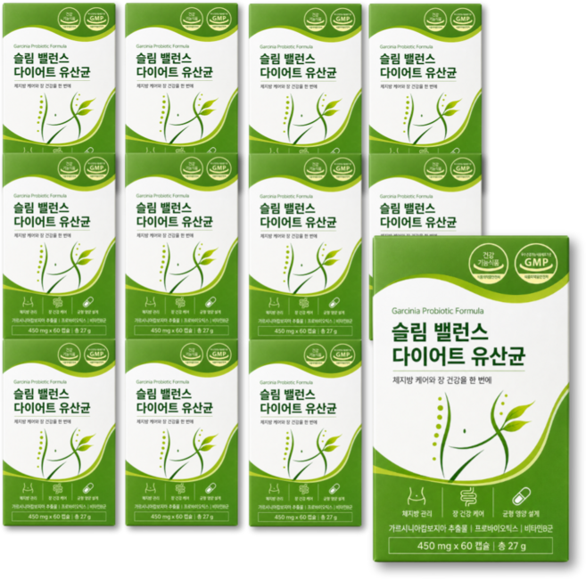 [옵션구성] 비에날씬 BNR 17 다이어트 유산균 / 체지방감소 다이어트보조제 장건강 기능성 12EA 구매 시 증정 데일업, 12개, 60정