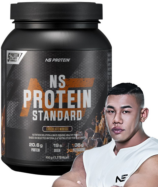 NS 프로틴 스탠다드 초코맛 450g 헬스보충제 단백질보충제, 1개