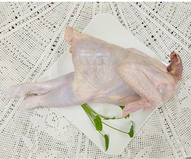 토종닭18호(냉동) 26년 감사 행사 초, 1.6kg, 1개