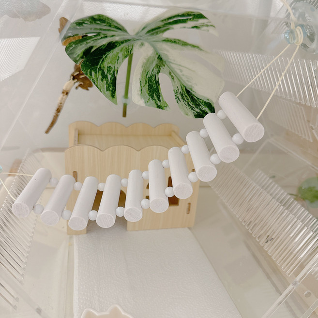 야야랜드 파스텔 사다리 백업 출렁다리 징검다리 도마뱀 파충류 놀이터, 화이트, 1개