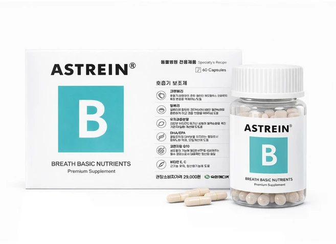 아스트레인 B 호흡기 기관지 보조제 60캡슐 크랜베리 빌베리 함유, 60정, 호흡기/기관지, 1개 - 쿠팡