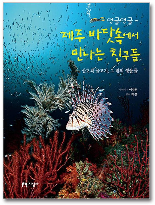 댕글댕글~ 제주 바닷속에서 만나는 친구들 (마스크제공)