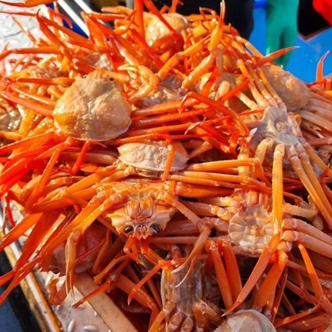 기타 [일품대게] 실속형 구룡포 연지 홍게 3kg (9-12마리), 1박스