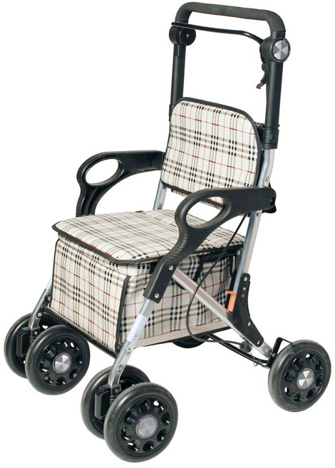 에코웰 노인보행기 보행보조기 실버카 ALJ005A-1, 1개