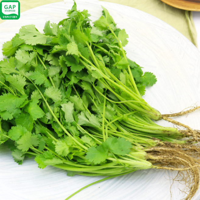 [당일수확 뿌리배송]향이 진한 싱싱 고수, 1개, 400g