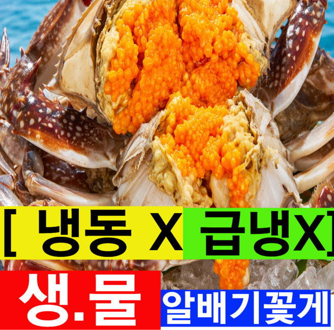 [특품AAA등급] 국내산 활꽃게 알배기 생물 암꽃게, 1박스, 1kg(활암꽃게특품)