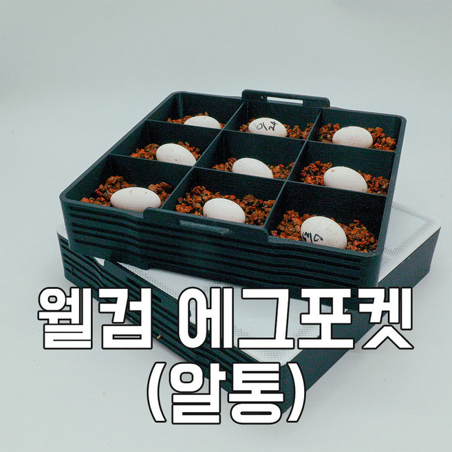 1위 - [웰컴 에그이즈커밍] 알보관함 인큐베이터 에그컨테이너 부화기 알집 알통, 1개, 블랙