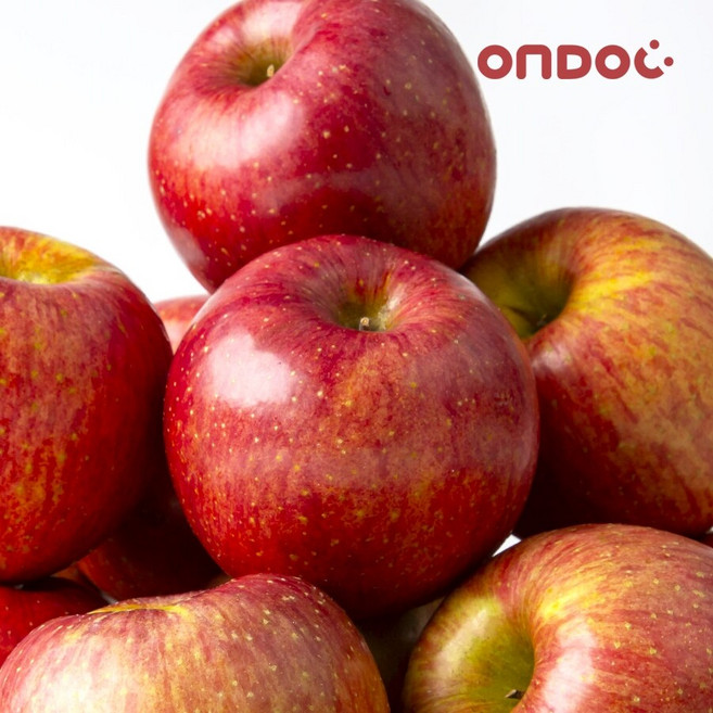 [온도씨] 경북 안동 길안 가정용 부사사과 랜덤과 1.2kg (5-8과), 매장정품 [온도씨] 경북 안동 길안 가정용 부사사과 중, 1개