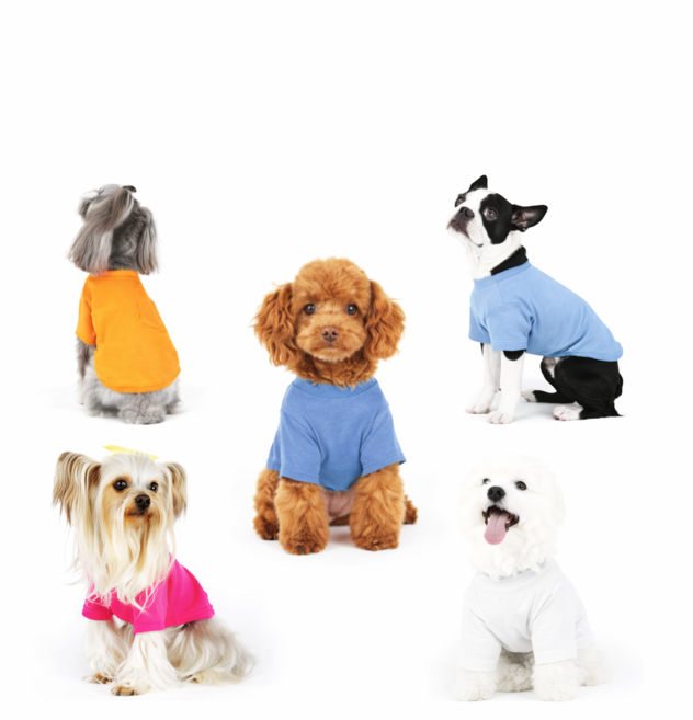 세이치즈 베이직 강아지 티셔츠, 1개, 베이직올인원 네이비