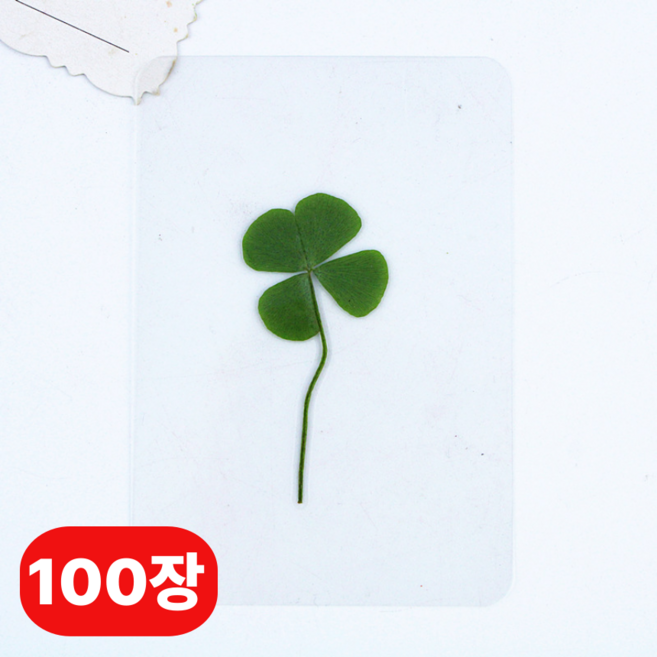 섭합 행운 생화 네잎클로버 코팅 책갈피 선물, 100개, 그린