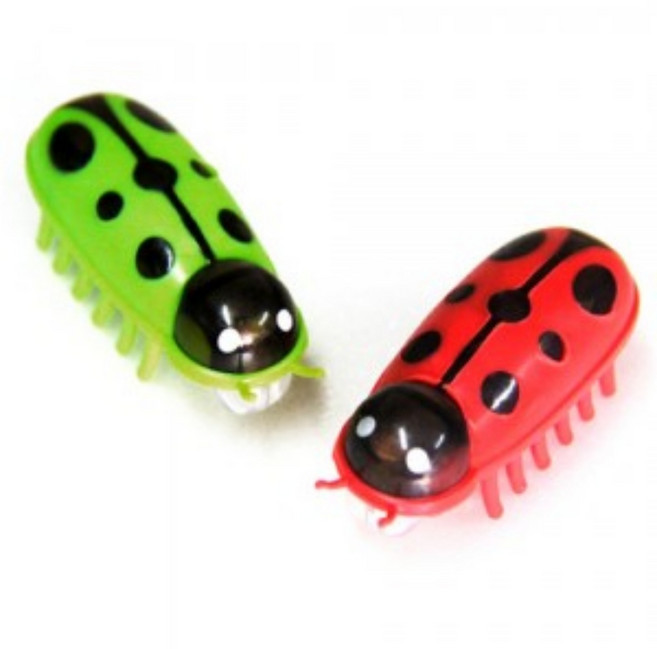 펫모닝 로봇버그 무당벌레(PMC-300), 1개