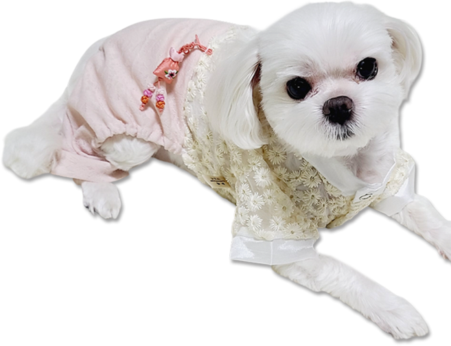 강아지한복 꽃도령 꽃낭자 고양이한복, 올인원-핑크