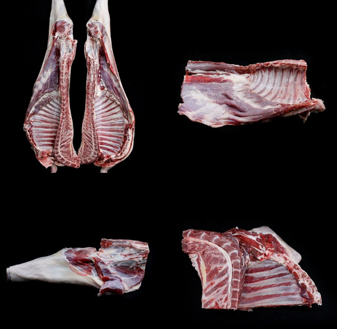 단단푸드 호주산 수입산 염소고기 냉동 수육 전골 식당납품 지육, 암컷 앞다리(3kg), 1개