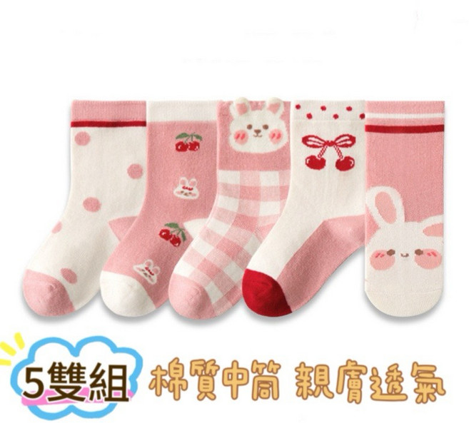 BabyBear 兒童中筒襪 五雙組 SK0001