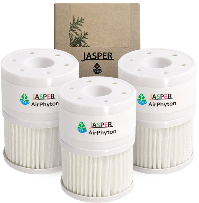 제스퍼 피톤치드 에어피톤 차량용 전자디퓨저 리필, 3개