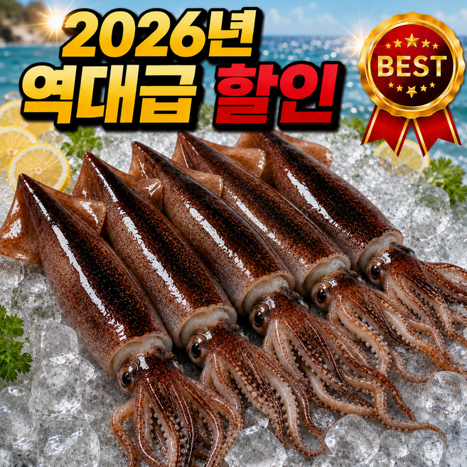 [2026년 초특가] 당일조업 생물 초코오징어 국내산 초코오징어 통찜 서해 산지직송, 1박스, 생물 1kg (4~5미)