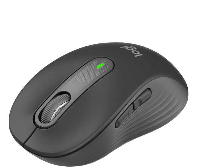 로지텍 SIGNATURE 블루투스 멀티 마우스 M650 L, 그래파이트