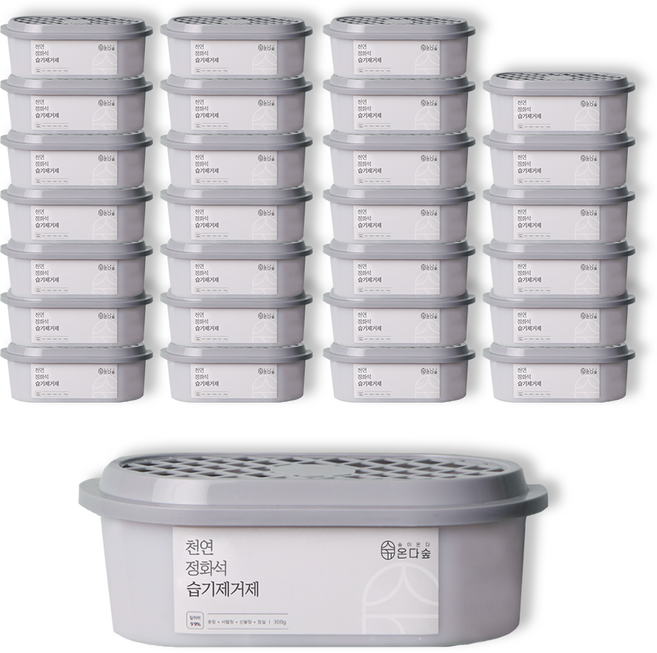 온다숲 반영구 천연제습제 습기제거제 정화석 탈취까지, 300g, 28개