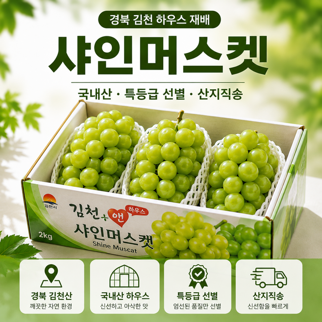 6위 - [당일출고] 국내산 하우스 샤인머스캣 특등급 프리미엄 에어팩 포장 500g 1kg 2kg, 1박스, 국내산 