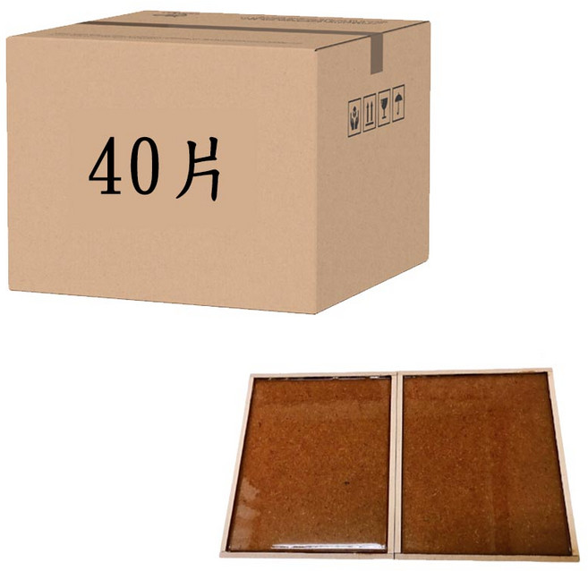 特大片 除鼠公司專用 黏鼠板, 20套, 2個裝