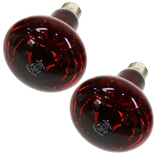 히트플러스 국산 적외선전구 IR 램프 100W * 2ea, 2개