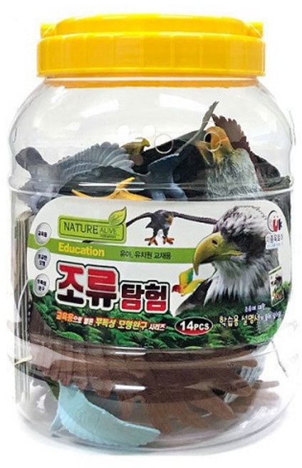 자연은살아있다 조류탐험 선물추천!, 1개