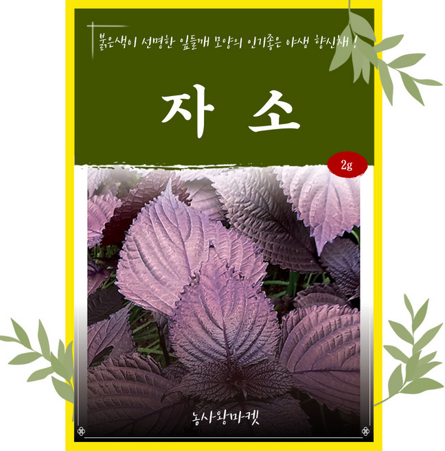 시호 2g 다농 26년 시호씨앗, 15.시호 2g, 1개