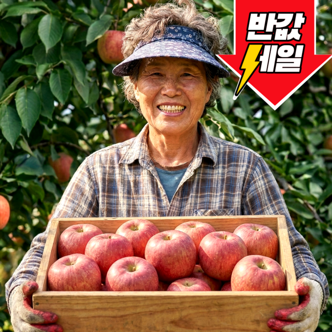 [초특가세일] 딱100명만 A급농가 초고당도 부사사과, 1개, 3kg