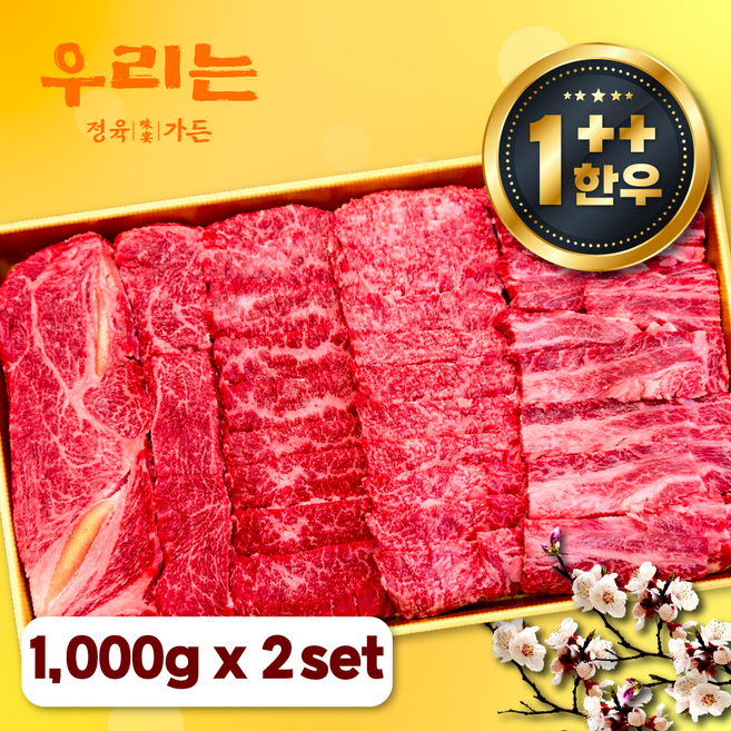 우리는정육가든 1++ 한우 등심 갈비살 업진안살 앞치마살 특수부위 소고기 모듬 세트 구이용 1000g [ 감사카드증정 ], 2개