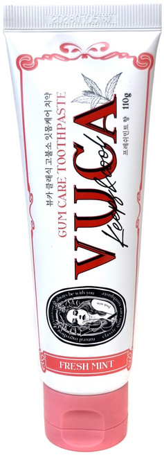 뷰카 클래식 고불소 프레쉬민트향 잇몸케어 치약, 110g, 2개