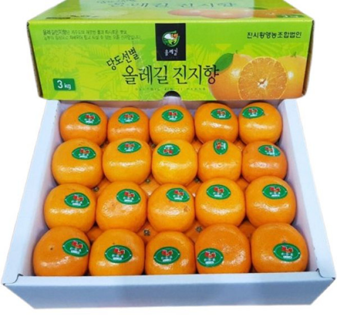 녹음상회 제주도 감귤 로얄과 (35-40과 내외) 3kg 1개