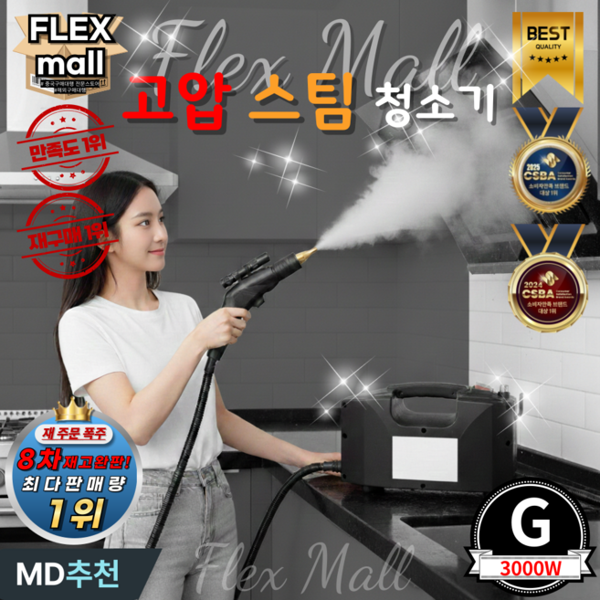 플렉스몰 핸드 스팀 청소기 핸디 고압 스팀기 세차기 세척기 분사 살균기, G