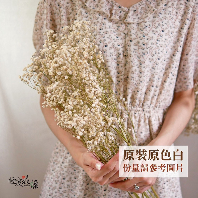 極度花燥 乾燥滿天星 花材 配花 永生花乾燥花, 乾燥滿天星,原色白,大份量原裝包