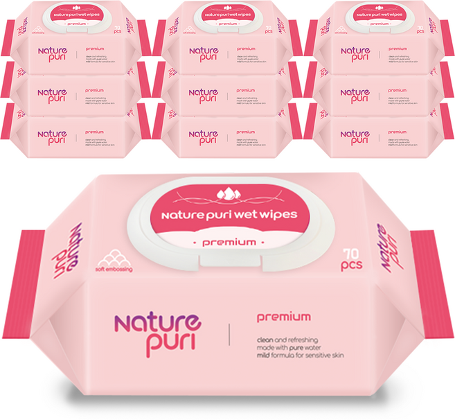 네이처퓨리 프리미엄 물티슈 도톰한 엠보싱 캡형, 10개, 70매, 70g