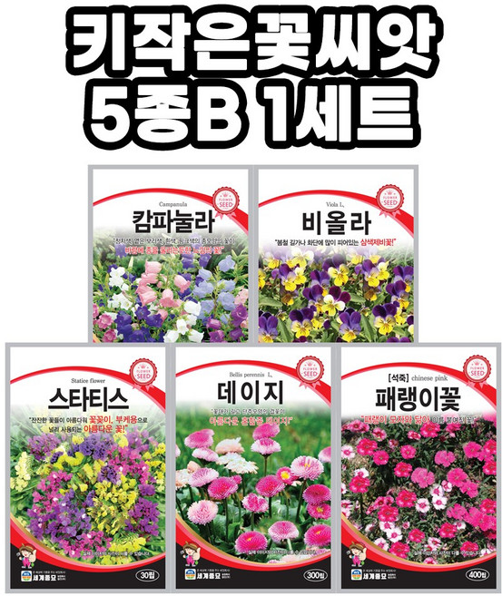 모칸도 키작은꽃 씨앗 5종B 모음 키작은꽃 다년생 꽃씨앗 노지 월동 야생화 씨앗 봄 가을 파종 꽃씨, 1개
