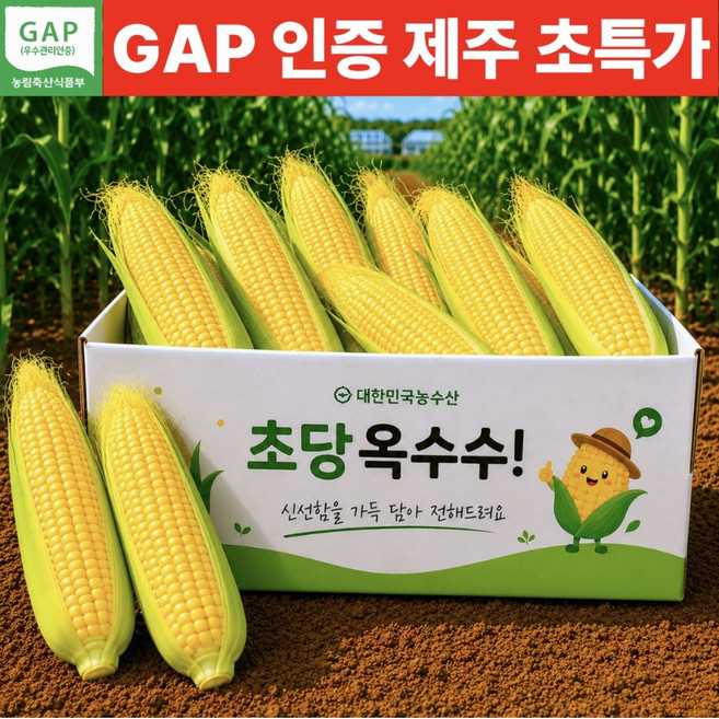 [GAP인증] 당일수확 초당옥수수 제주 산지직송, 1박스, 15개 (중품)