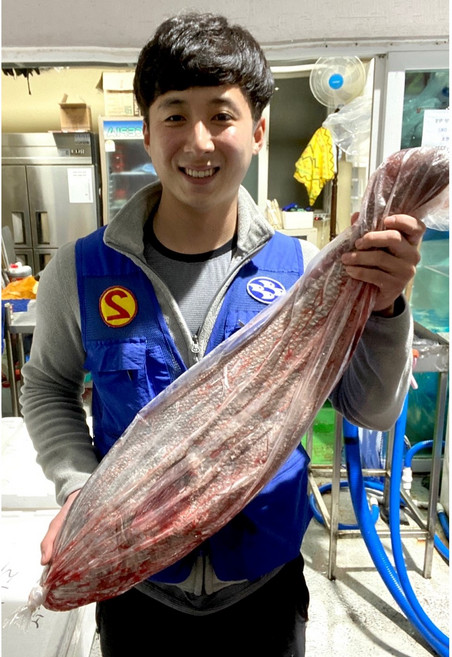 신안 임자도 지도 자연산 민어 회 (3~10kg), 6kg, 원물, 1개