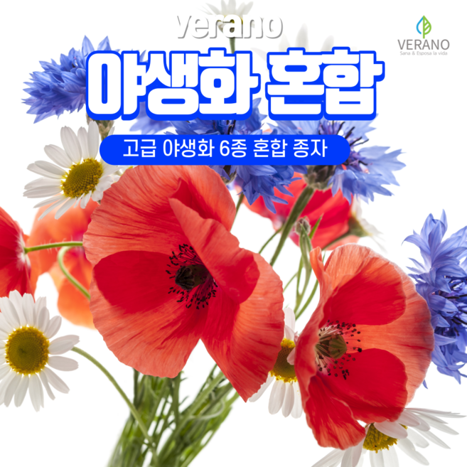 베라노 고급 야생화 씨앗 6종 혼합 1kg/30평 캘리포니아포피 꽃양귀비 수레국화 샤스타데이지 패랭이꽃 코스모스 씨앗 종자, 3개