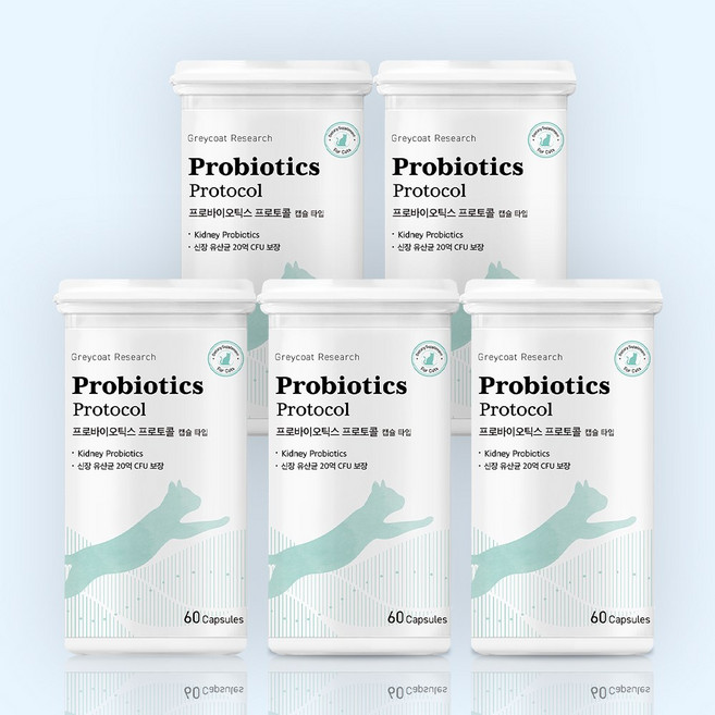 야옹섬 프로바이오틱스 신부전 고양이 유산균 신장 영양제 요독소 IBD 관리, 5개