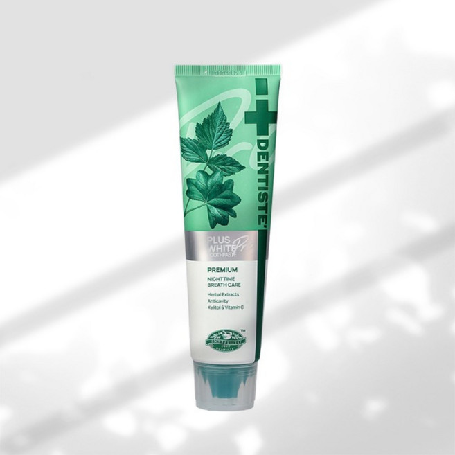 덴티스테 치약 뉴플러스화이트 100g 입냄새제거 무불소, 1개