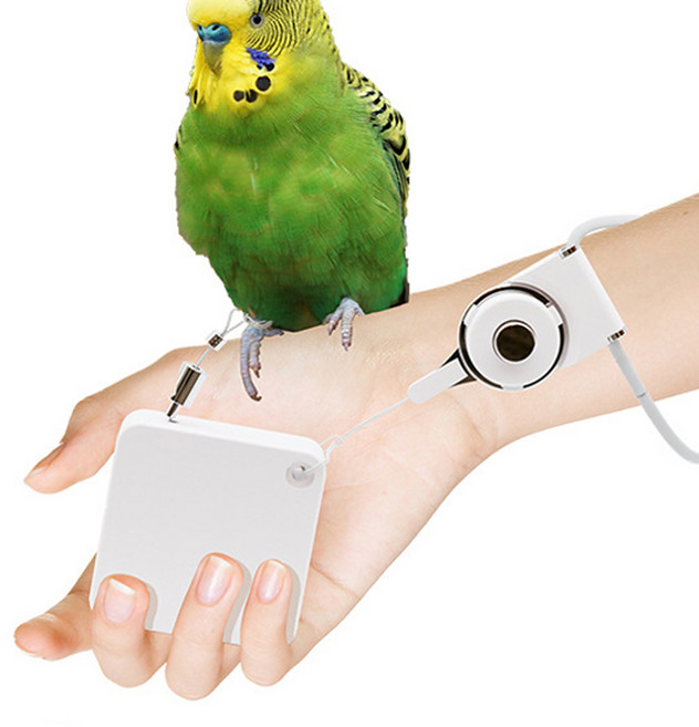 버드링크 앵무새 핸즈프리 리드줄 목걸이형 외출 산책 원터치 줄감기, 2.1m