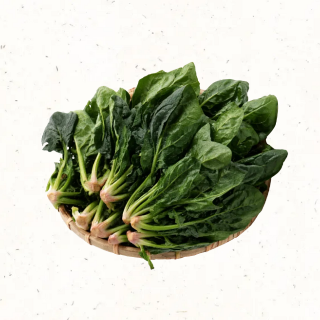 시금치 제철 나물용 친환경 시금치 국거리 신선채소 1kg, 1개