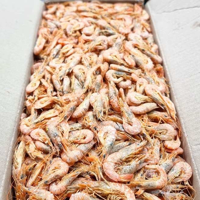 [백송식품] 국내산 햇 국물새우 육수용 건새우 마른 건새우 1.5kg, 1개