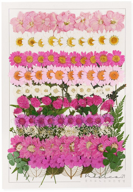 프레스코21 압화종합팩 대팩 501 대용량, 1개