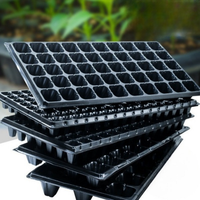 육묘판 모종 묘목 트레이 씨앗 파종판 50홀 상추 모판, 3_72홀 110g 10조각