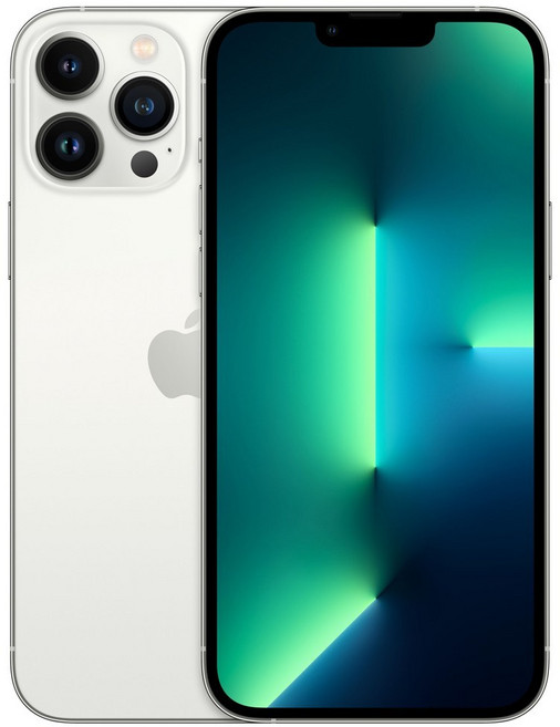 Apple 아이폰 13 Pro Max 자급제, 실버, 128GB
