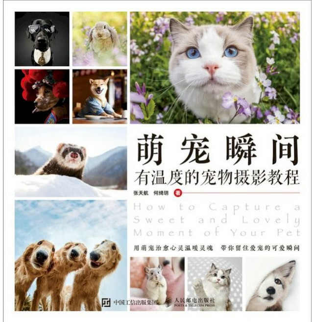 萌寵瞬間：有溫度的寵物攝影教程 簡體書 實體書