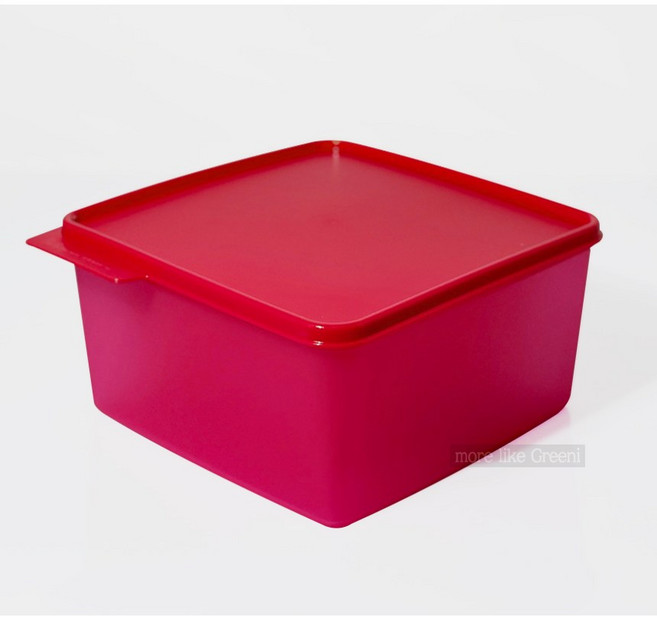 타파웨어 베이직라인2.5L 1P 레드 김치통 타파통 타파세트 식자재보관용기, 용기1P+뚜껑1P, 1개