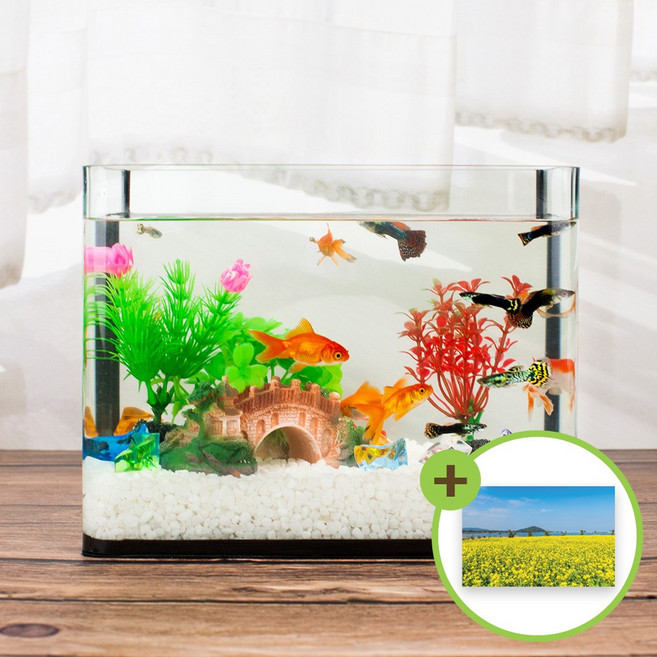 미니 어항세트 (중) 다리장식 유리어항 수족관세트, 2. 다리장식 세트, 1개